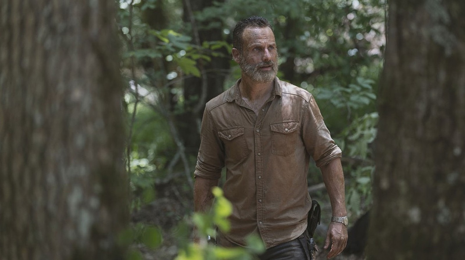 Why The Walking Dead Movies Never Happened