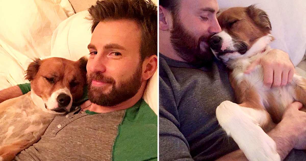 Chris Evans and His Dog Dodger: See Their Pawsome Friendship