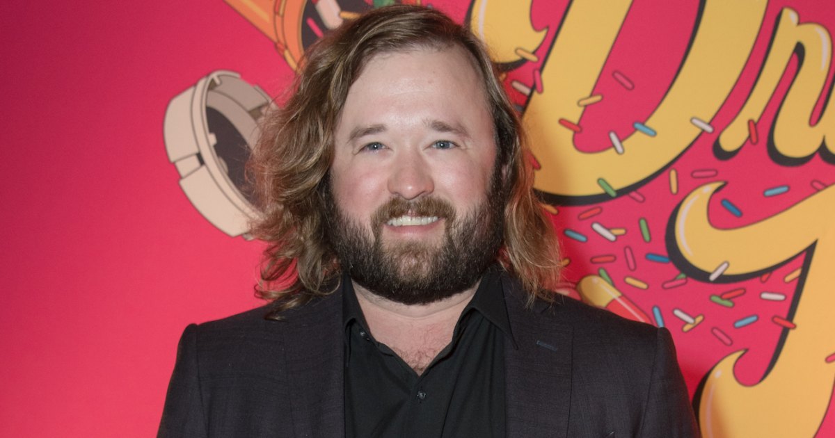 Haley Joel Osment's Court-Ordered Recovery Plan Explained