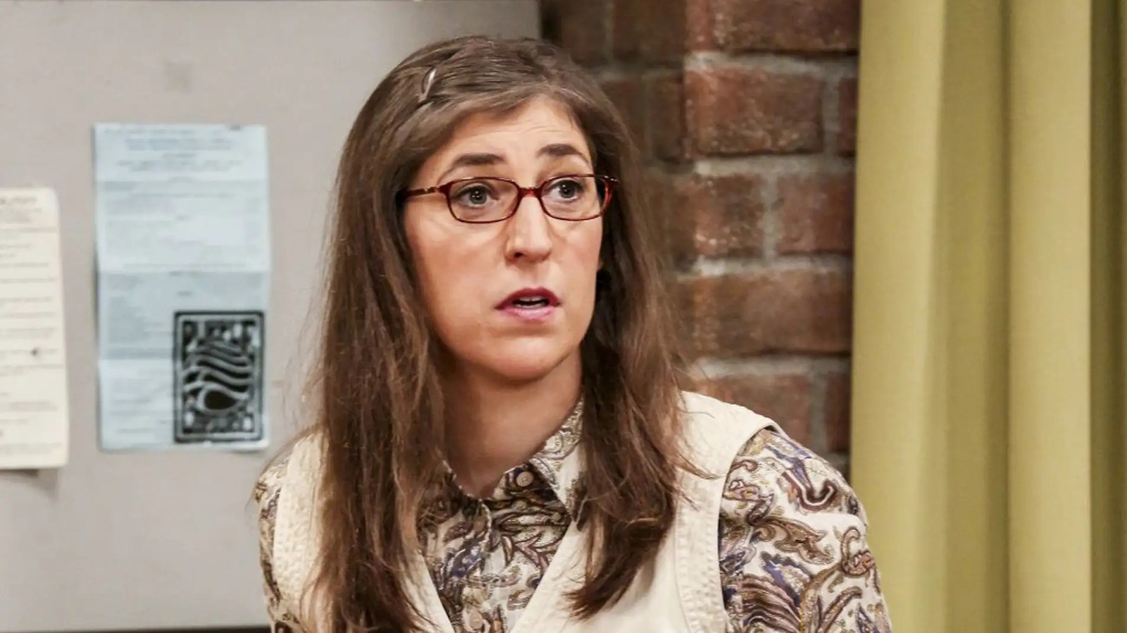 Mayim Bialik Disagreed With The Big Bang Theory Writers About One Plot Point