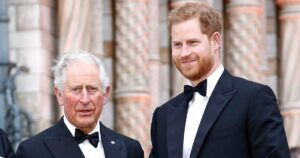 Expert Thinks King Charles and Prince Harry Reunion Is Unlikely