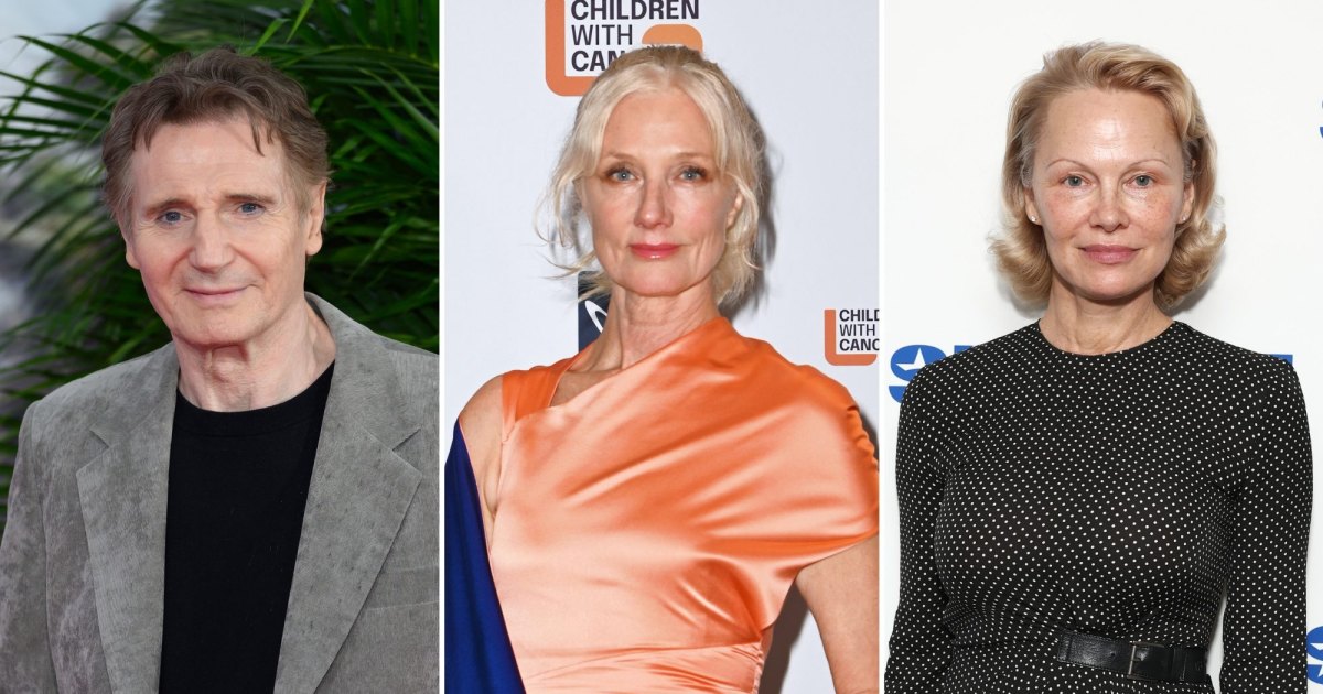 Liam Neeson Romance With Pamela Anderson Backed by Late Wife's Sister